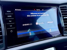 Skoda Kodiaq RS 2.0 TDI DSG 4x4 /LED/ACC/AHK/360°CAM/ in Blau als SUV/Geländewagen/Pickup - Fahrzeugfoto 19