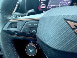 Cupra Formentor VZ 2.0 TSI DSG 4Drive /LED/ACC/CAM/ in Blau als SUV/Geländewagen/Pickup - Fahrzeugfoto 19