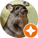 Denis profile picture