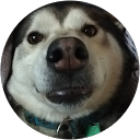 Nils Roemer profile picture