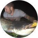 Nico M. profile picture