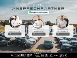 Renault Megane 300 RS Trophy , NAVI, LED, ACC, CAM, GARANTIE - Thumbnail 16