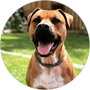 Profilbild von „Patrick K.“