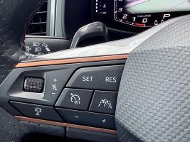 Cupra Ateca 2.0 TSI DSG 4Drive /NAVI/LED/ACC/360°CAM/ in Schwarz als SUV/Geländewagen/Pickup - Fahrzeugfoto 16