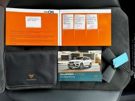 Cupra Ateca VZ 2.0 TSI DSG 4Drive /NAVI/LED/ACC/360CAM in Grau als SUV/Geländewagen/Pickup - Fahrzeugfoto 22